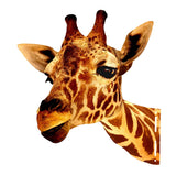 Maxbell Animal Heads Art Sculpture Artwork for Dining Room Wall Hanging Centerpiece Giraffe