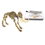 Maxbell Kids Dinosaur Excavation Kits Dig A Dinosaur Educational Toy Mammoth