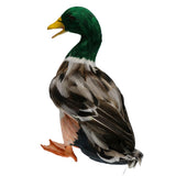 Max Realistic Duck Ornament Decoy Home Garden Water Pond Decor Mallard Duck L
