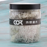 Max 500ML Model Sand Table Grass Vegetation for Simulation Scenery White