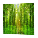 Max 2 Panel Waterproof 3D Curtain Drapes for Living Room Bedroom Window Style_F