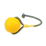 Maxbell EVA Dog Chew Ball Toys Yellow Bite Resistant for Dogs Training Playing 7cm Ball With Rope