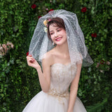 Max Wedding Bridal Veil+Comb 2/3/4 Ply Beige Flocking Snowflake+Black Mesh-4 Ply