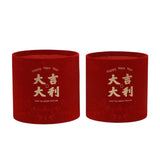 Maxbell Chinese New Year Vase Table Centerpiece Ornaments for Spring Festival Indoor Auspicious