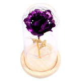 Maxbell Rose In Glass Dome Wooden Base Led Flower Lamps Purple