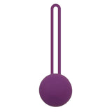 Maxbell Silicone Smart Kegel Ben Wa Geisha Ball Vaginal Tightening Exerciser Purple