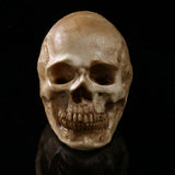 Maxbell Homosapiens Skull Figurine Human Skeleton Head Decor Antique Yellow