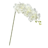 Maxbell Orchid Flowers Stem Plants Party Artificial Butterfly Phalaenopsis Flowers White