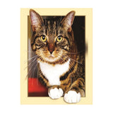 Maxbell DIY 5D Diamond Painting Embroidery Cross Stitch for Home Decor Cat