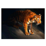 Maxbell DIY 5D Diamond Painting Embroidery Cross Stitch Kit 40x30cm Tiger