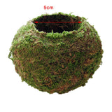 Max Creative Moss Ball Flower Pot Planter Bonsai Plant Holder Home Garden 9cm