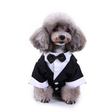 Maxbell Pet Small Dog Clothes, Puppy Stylish Suit Bow Tie Costume, Wedding Shirt Black M