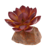 Max Succulent Plant with Resin Base Reptile Terrarium Vivarium Ornament 1