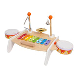 Maxbell Multifunction Xylophone Musical Toy Montessori Toy for Girls Beginner Boys