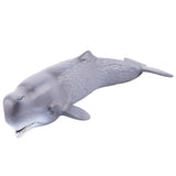 Maxbell Marine Animal Simulation Model Children's Solid Toys Sperm Whale