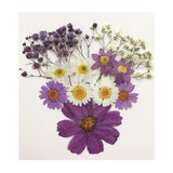 Maxbell 13/14/15Pcs Pressed Leaves Natural Dried Flowers Scrapbooking Card making B