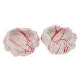 Maxbell 2xResin Rock Bowl Food Water Dish Feeder Plate for Terrarium Reptile Tank  5