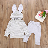 Maxbell 2pcs Baby Clothes Hooded T-shirt Tops+Pants Outfits Set 6-12M Grey