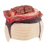Max Scary Bloody Brain Bone Props Halloween Party Haunted House Decors Brown