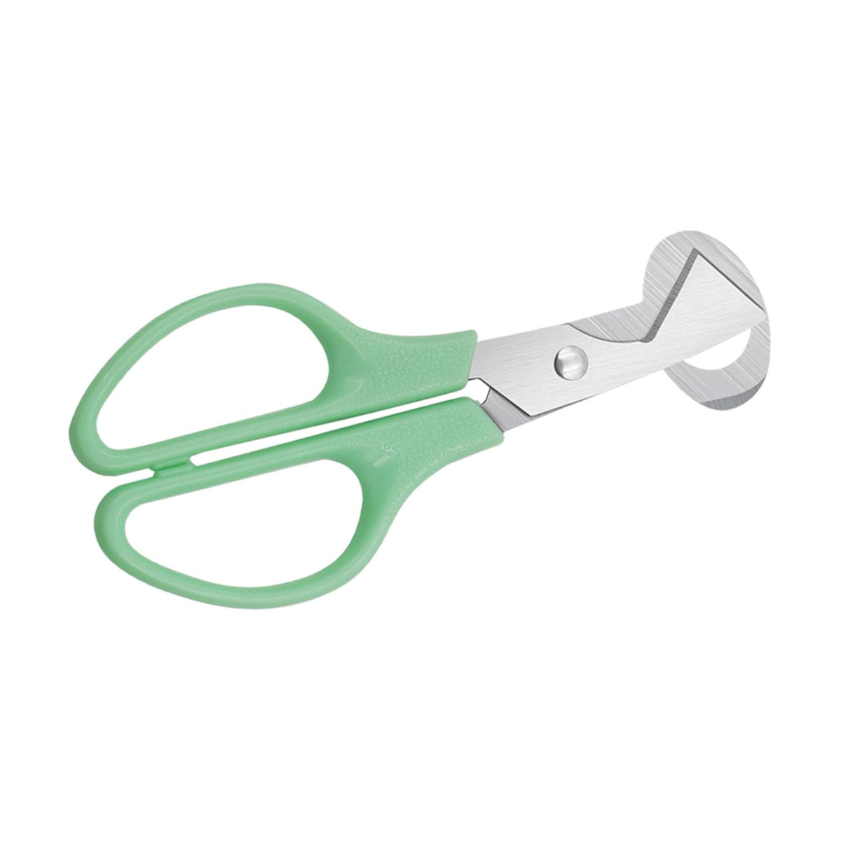 Maxbell Metal Pigeon Bird Egg Opener Separator Quail Egg Scissors for Kitchen Home