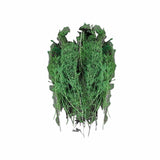 Maxbell Miniature Trees 1/48 Train Scenery 1/72 1/87 Model Material Dioramas Scenery Green