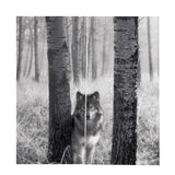 Max 2 Panel Printed Curtain Thermal Insulated Curtain Drape Gray Wolf