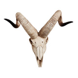 Maxbell Resin Long Horned RAM Decor Skull Wall Mount Skull Decor for Home Office D 42x34x16cm