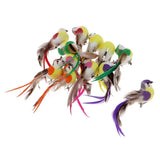 Max 12Pcs Artificial Foam Feather Birds Crafts Home Garden Decor  with Clip