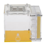 Maxbell Ant House Nest Insect Cage Farm Feeding Moisture Plastic Display Square Box