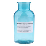 Max Colourful Glass Vase European Style Flower Vase Home Decor Sky-blue(L)