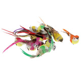Max 12Pcs Artificial Foam Feather Birds Crafts Home Garden Decor  without Clip