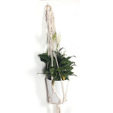 Max Hanging Planter Basket Rope Flower Plant Holder Indoor Restaurant Decoration