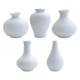 Maxbell Nordic Ceramic Vase 5Pack Boho Flowers Arrangement for Entryway Kitchen White