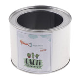 Maxbell Metal Succulent Cactus Flower Pot Vase Flower Pitcher for Home Decoration S