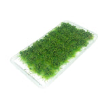 Maxbell Bushy Cluster Grass Tufts Miniature Static Scenery Model Railway DIY Decors 28 strains jungle green