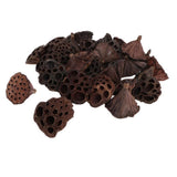 Maxbell 30pcs Natural Dried lotus pod Flowers Fruit for floral decor crafts DIY