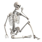 Maxbell 16 inch Halloween Skeleton Full Body for Photo Prop Lawn Haunted House