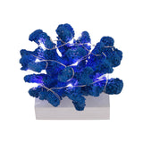Maxbell Resin Coral Statue LED with Light Desk Lamp for Desktop Bar Decor Blue
