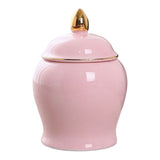 Maxbell Maxbell Kitchen Canisters Container Ceramic Food Storage Jar for Coffee Beans Spice Pink