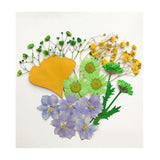 Maxbell 13/14/15Pcs Pressed Leaves Natural Dried Flowers Scrapbooking Card making A