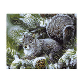 Maxbell DIY Paint By Numbers Kit Canvas Oil Painting Art Crafts  Squirrel