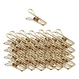 Max gold plating Stainless Steel Wire Clips Wind-proof Clamps 40pcs/pack