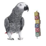 Maxbell Parrot Coloured Building Block Molar Tooth String Intelligence Training Toy