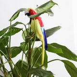 Maxbell Simulation Artificial Feathered Parrot Bird Animal Model Toy Home Decor L