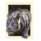 Maxbell DIY 5D Diamond Painting Embroidery Cross Stitch for Home Decor White Tiger