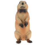 Maxbell Lifelike Wild Animal Model Figure Toy Figurine Home Decor Marmot B