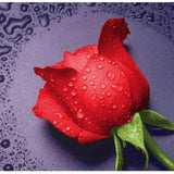 Maxbell 5D DIY Diamond Painting Rose Embroider Cross Stitch Craft Home Decor Charms Ornament Gift Red