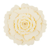 Maxbell DIY Paper Flowers Wall Art Backdrop Decor Wedding Party Photobooth Beige