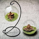 Maxbell Rose Crystal Bonsai Meditation Reiki Crystal Relaxation Home Office Decor