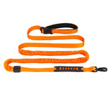 Maxbell Hands Free Leash Waist Pet Leash Shock Absorbing for Running Dog Chain Orange
